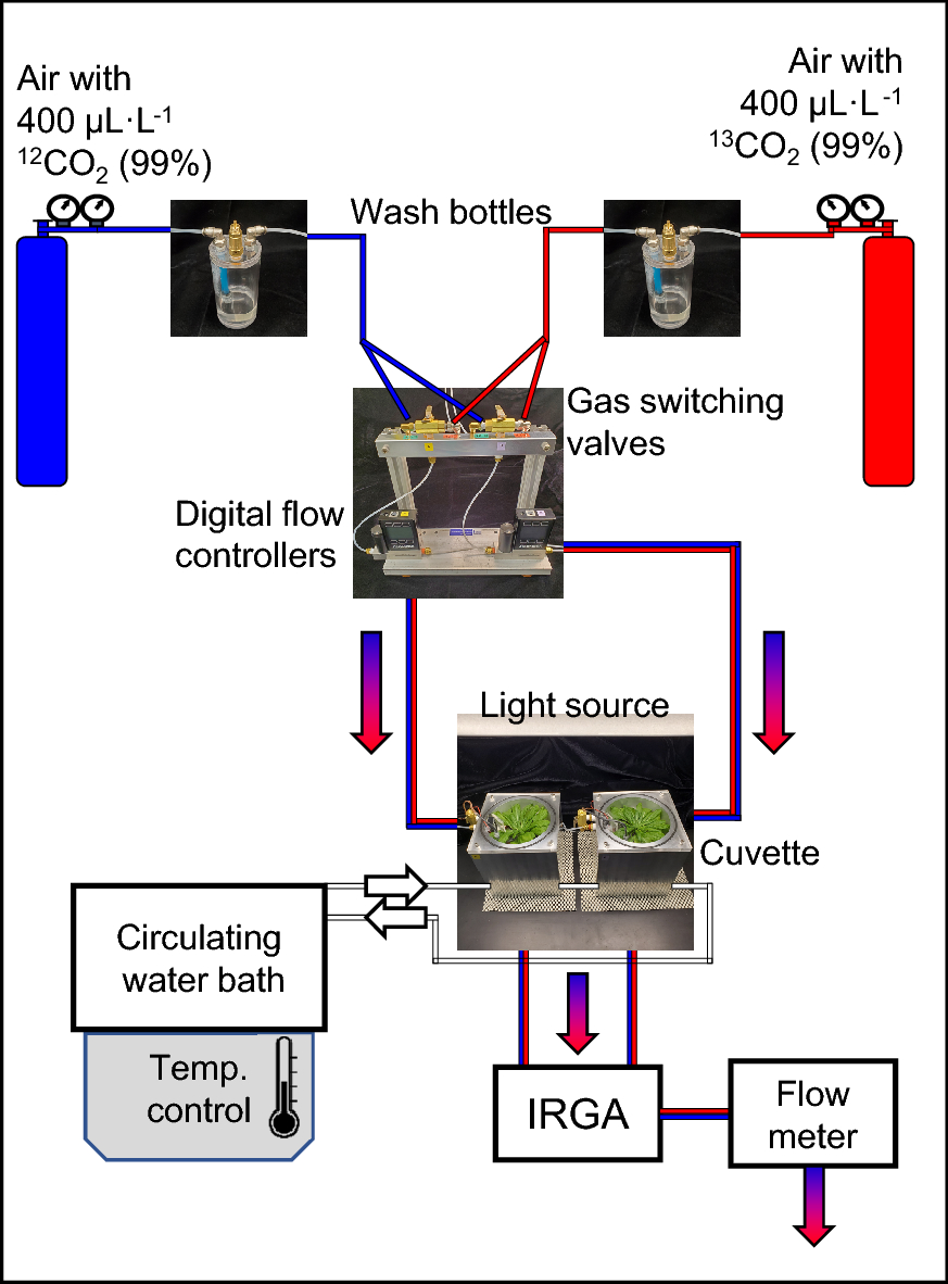 Fig. 3