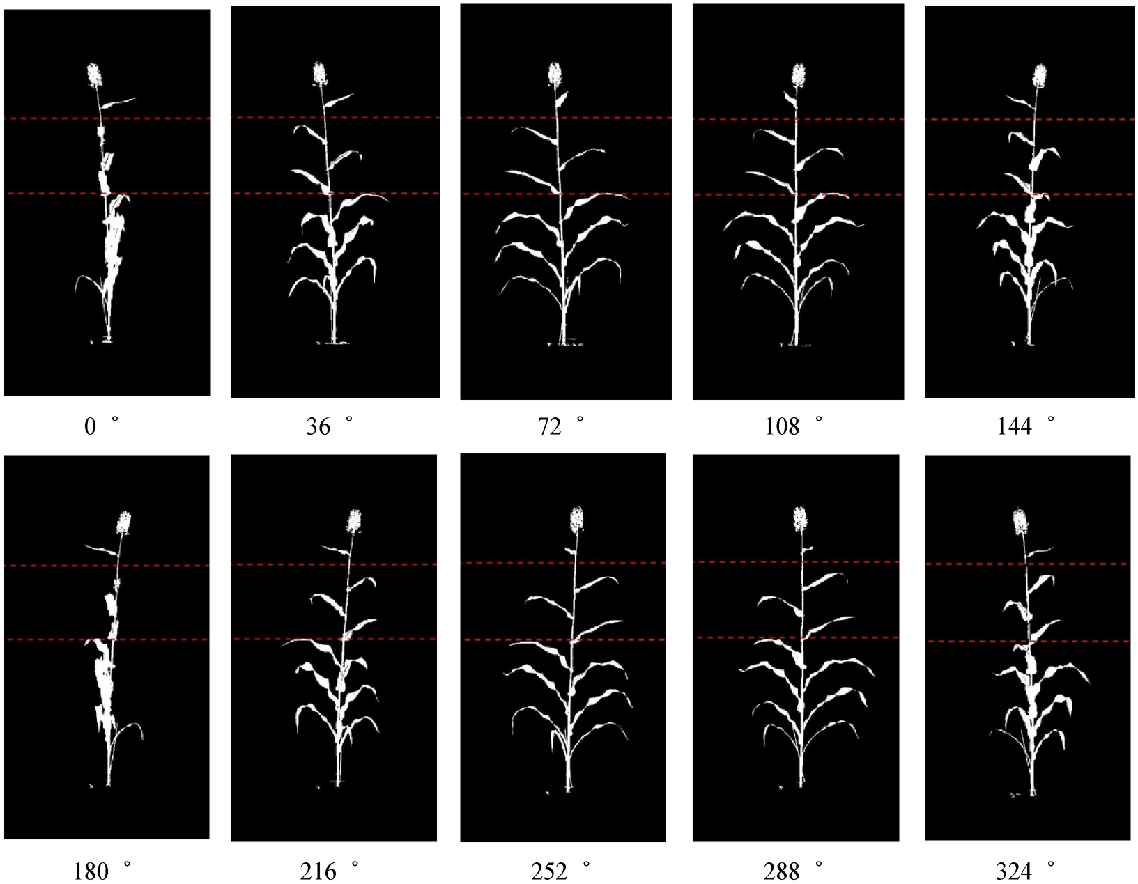 Fig. 9