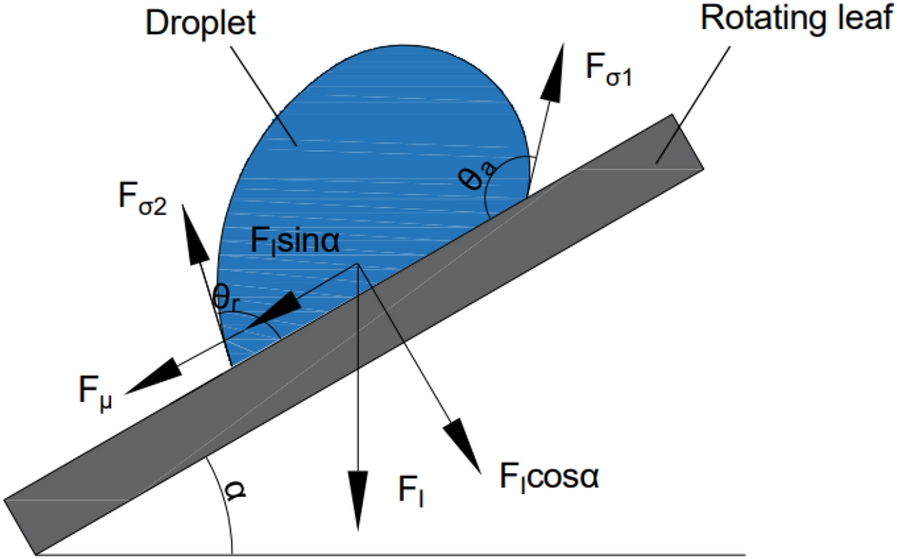 Fig. 8