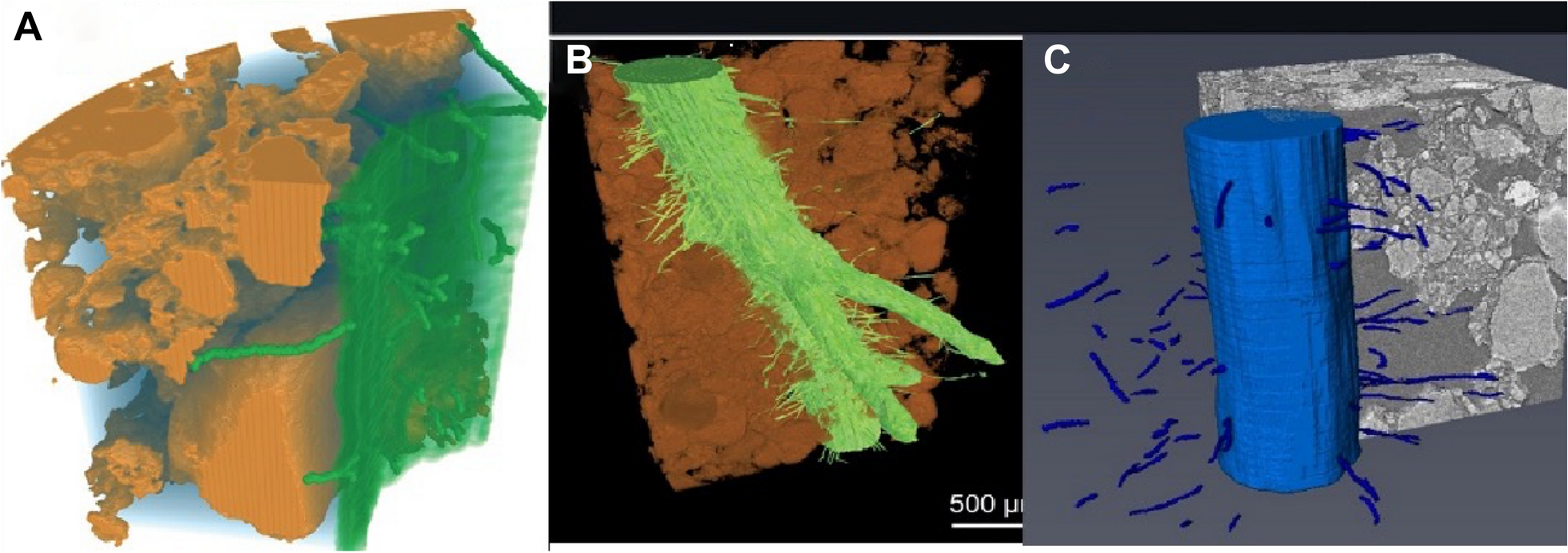 Fig. 12