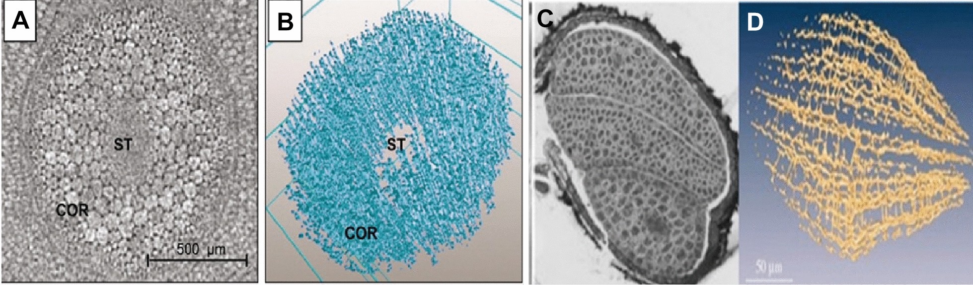 Fig. 6