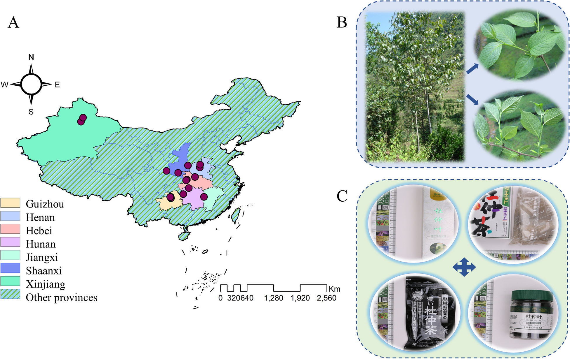 Fig. 1