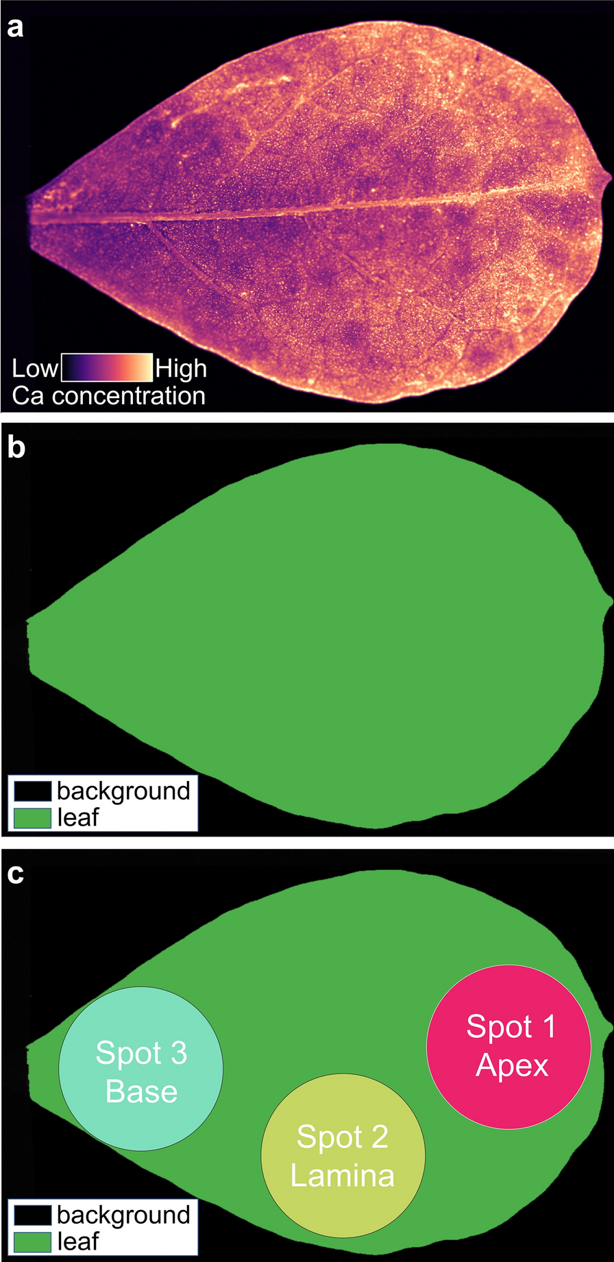 Fig. 9