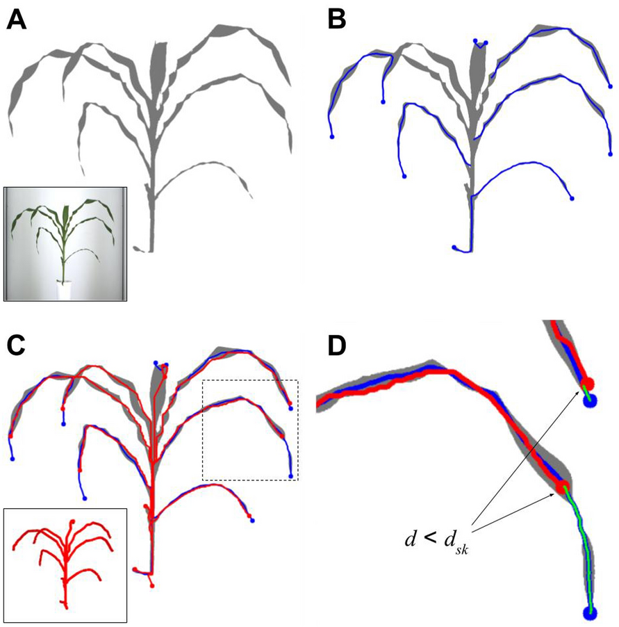 Fig. 2