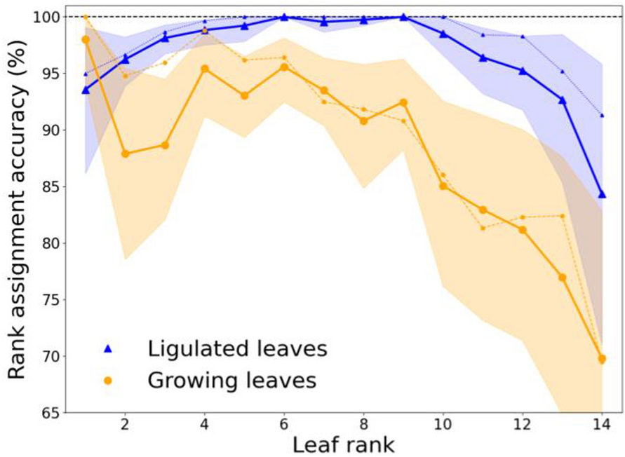 Fig. 5