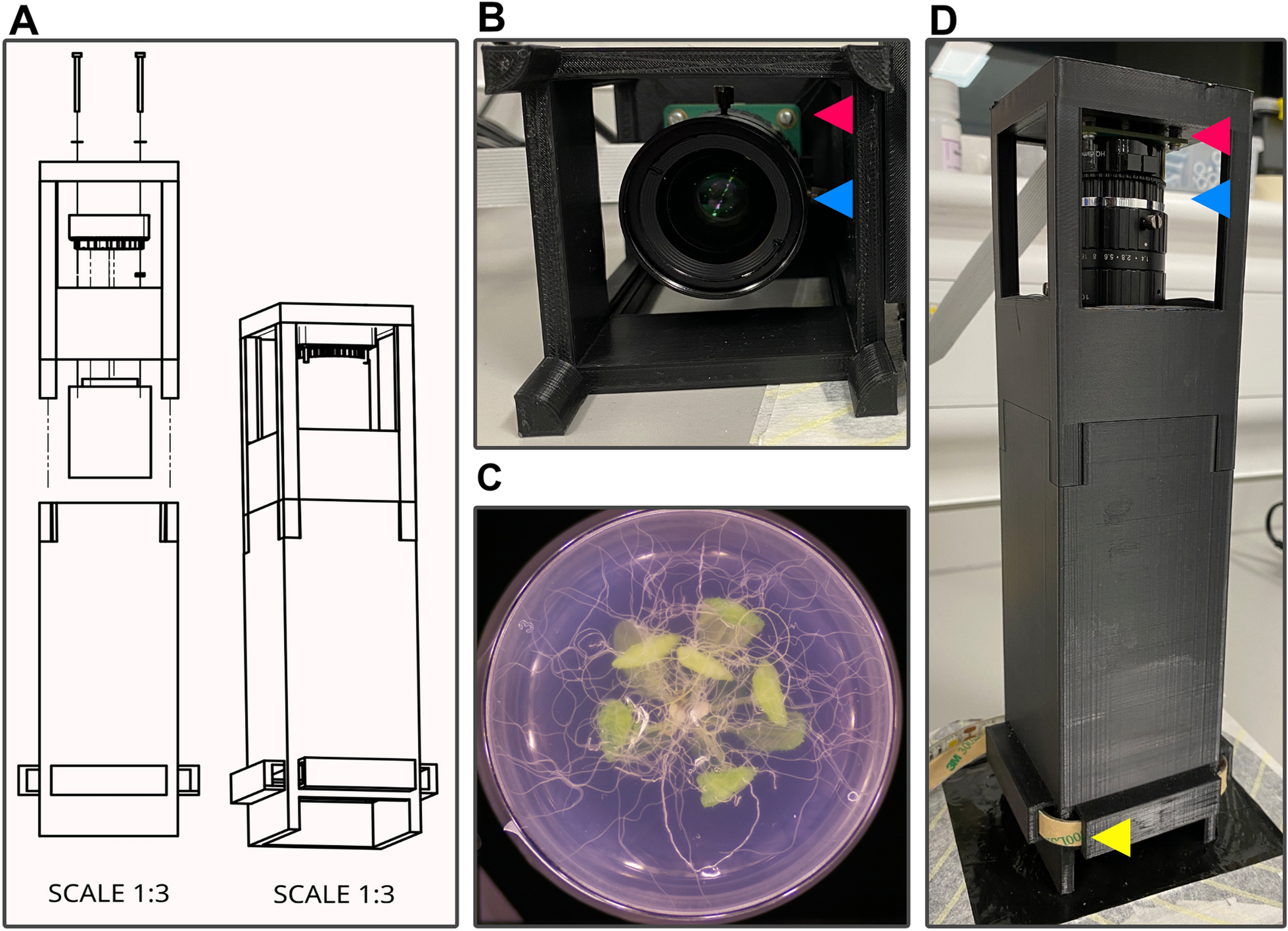 Fig. 3