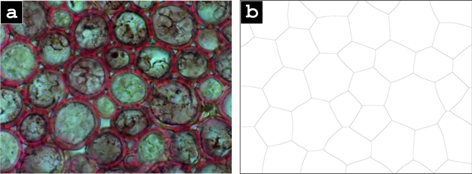 Fig. 7