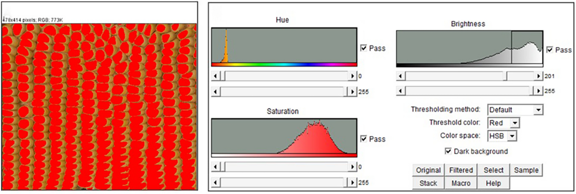 Fig. 10