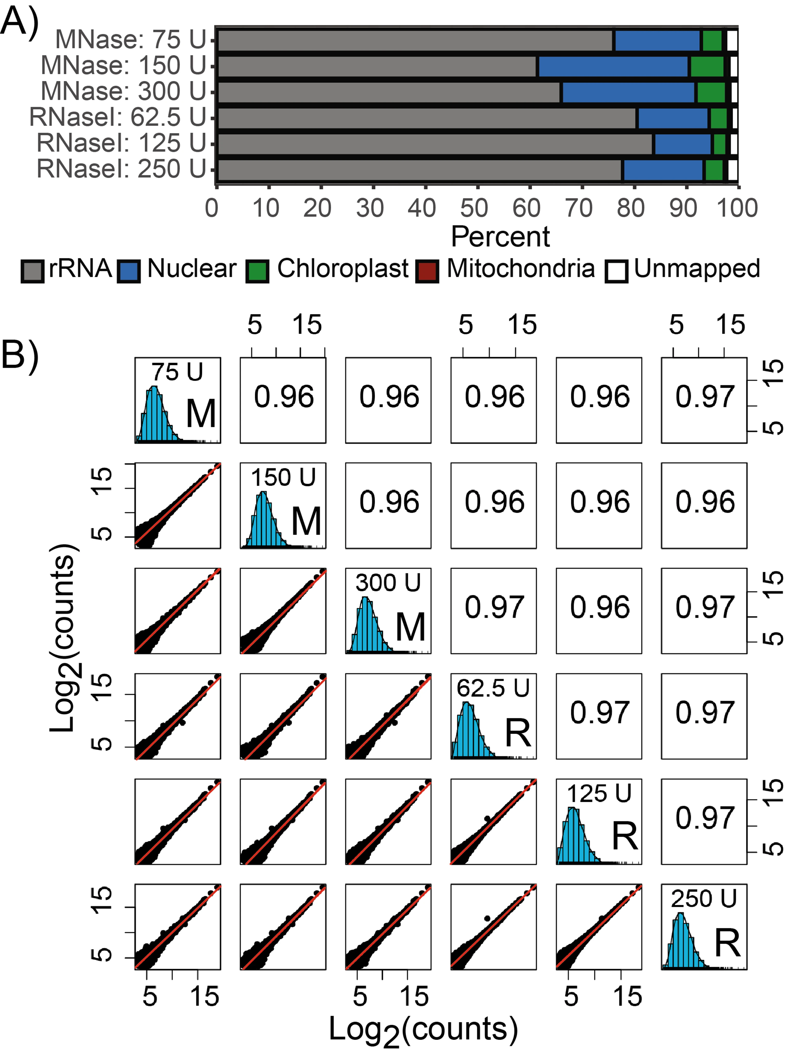 Optimization of ribosome profiling in plants including structural analysis of rRNA fragments