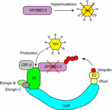 Fig. 4