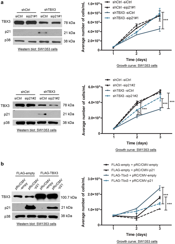 Fig. 6