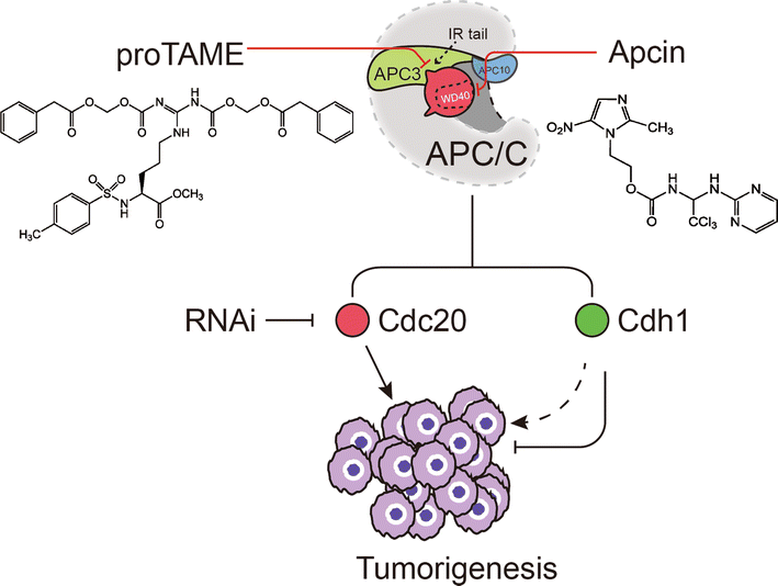 Fig. 6