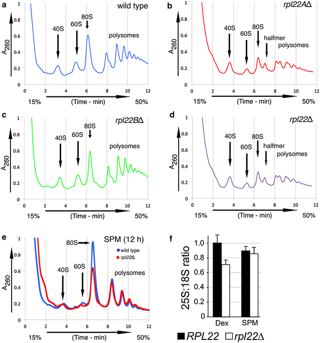 Fig. 6