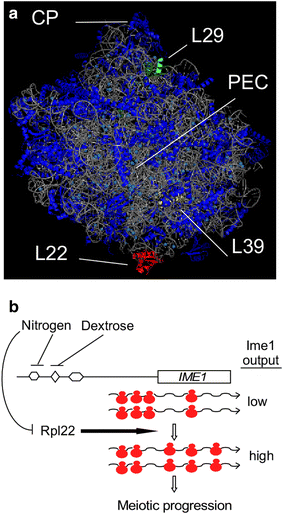 Fig. 7