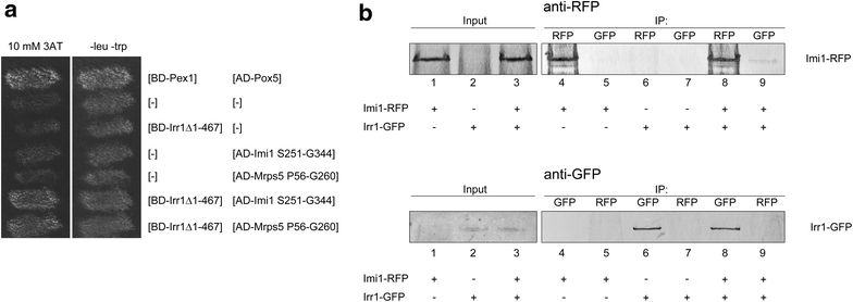 Fig. 8