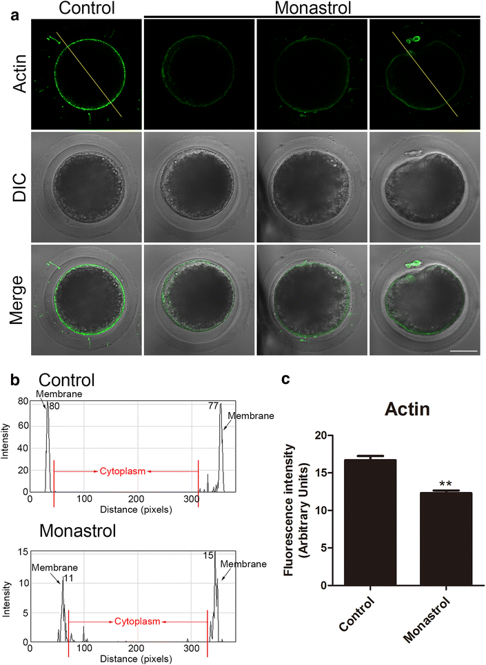 Fig. 4