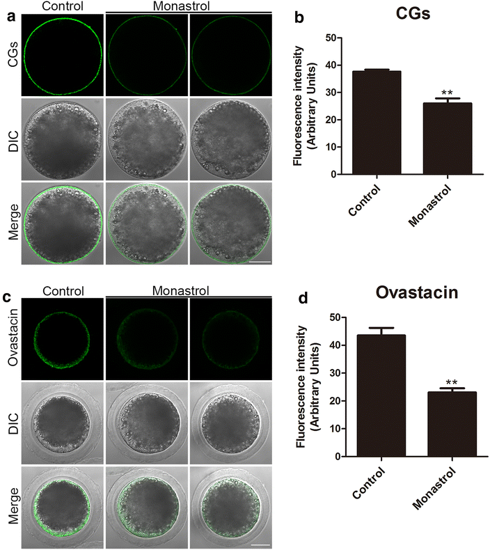 Fig. 6