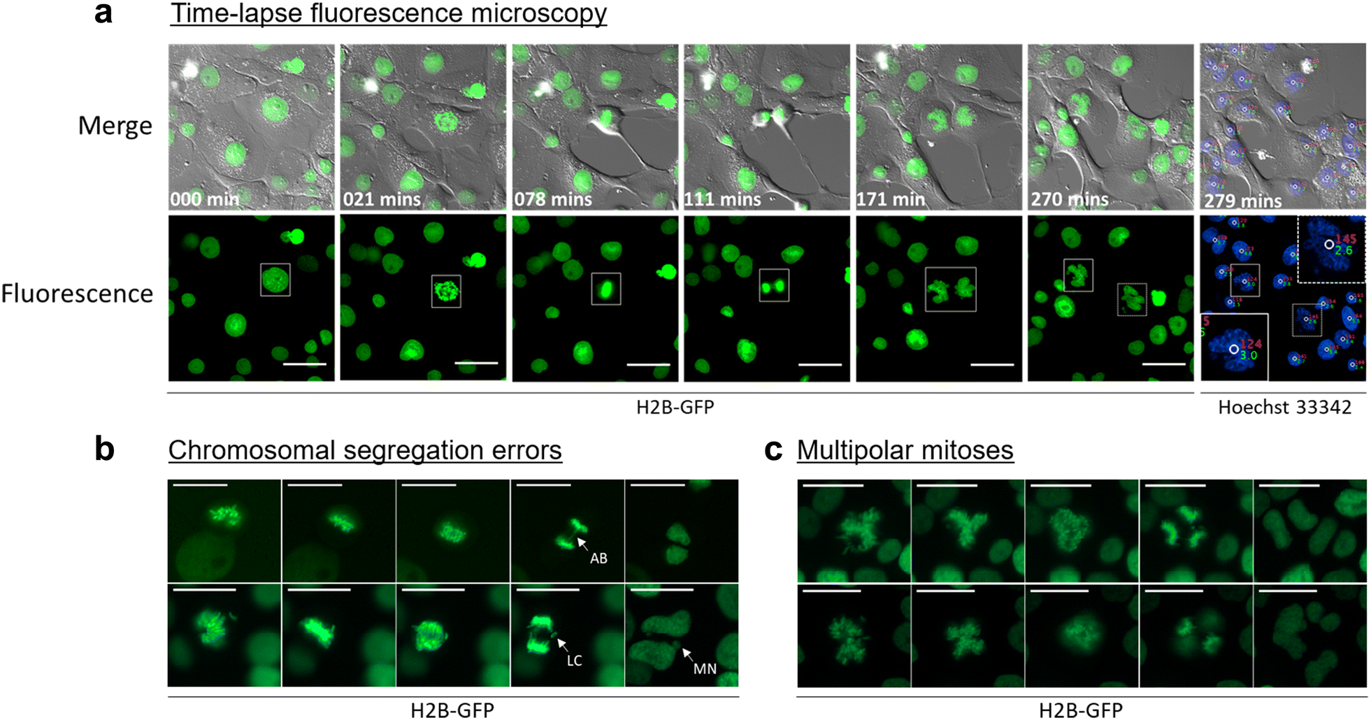 Fig. 4