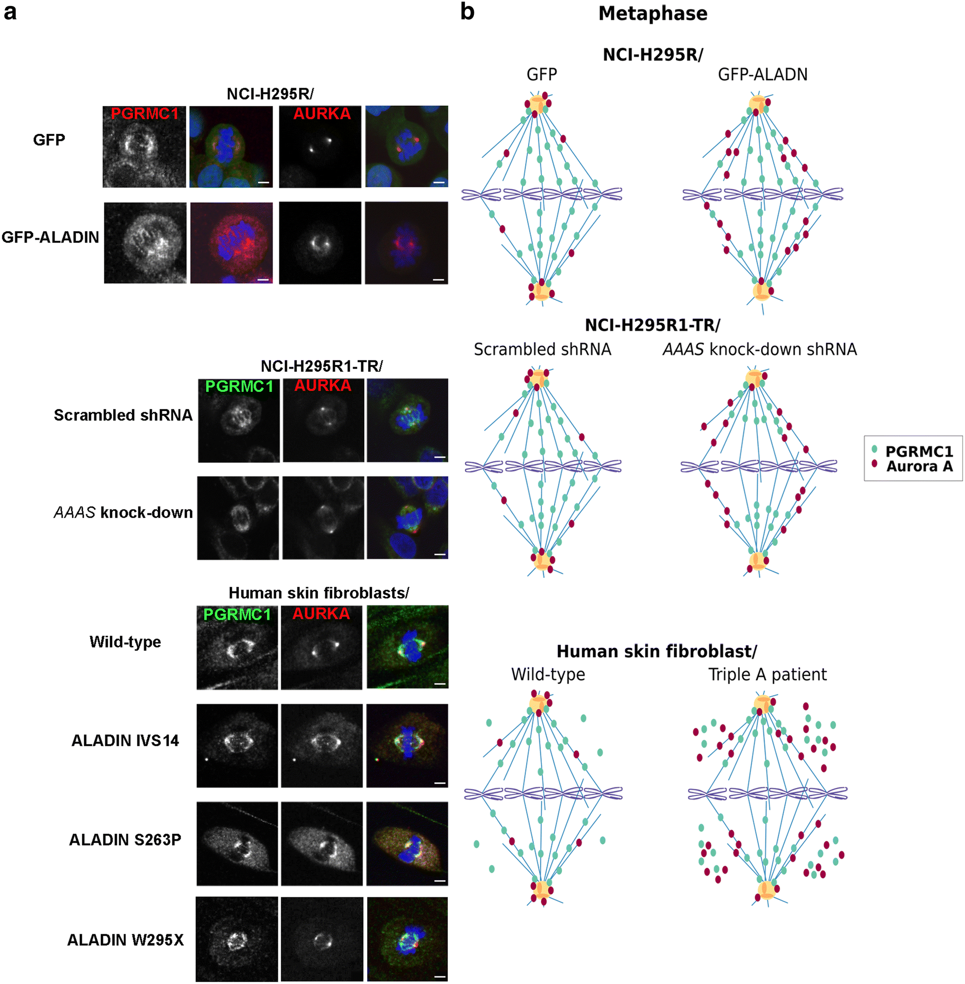 Fig. 3