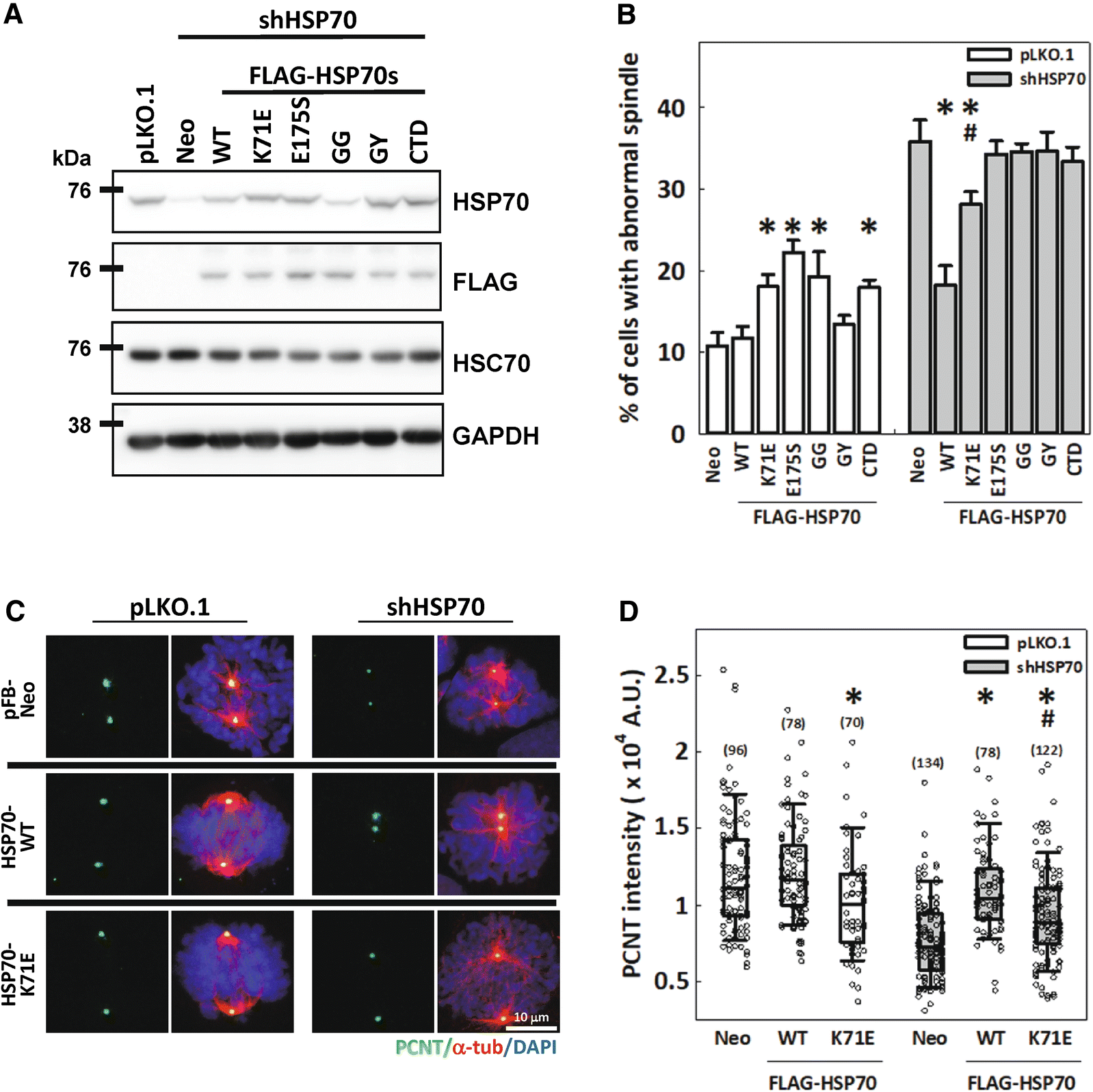 Fig. 6