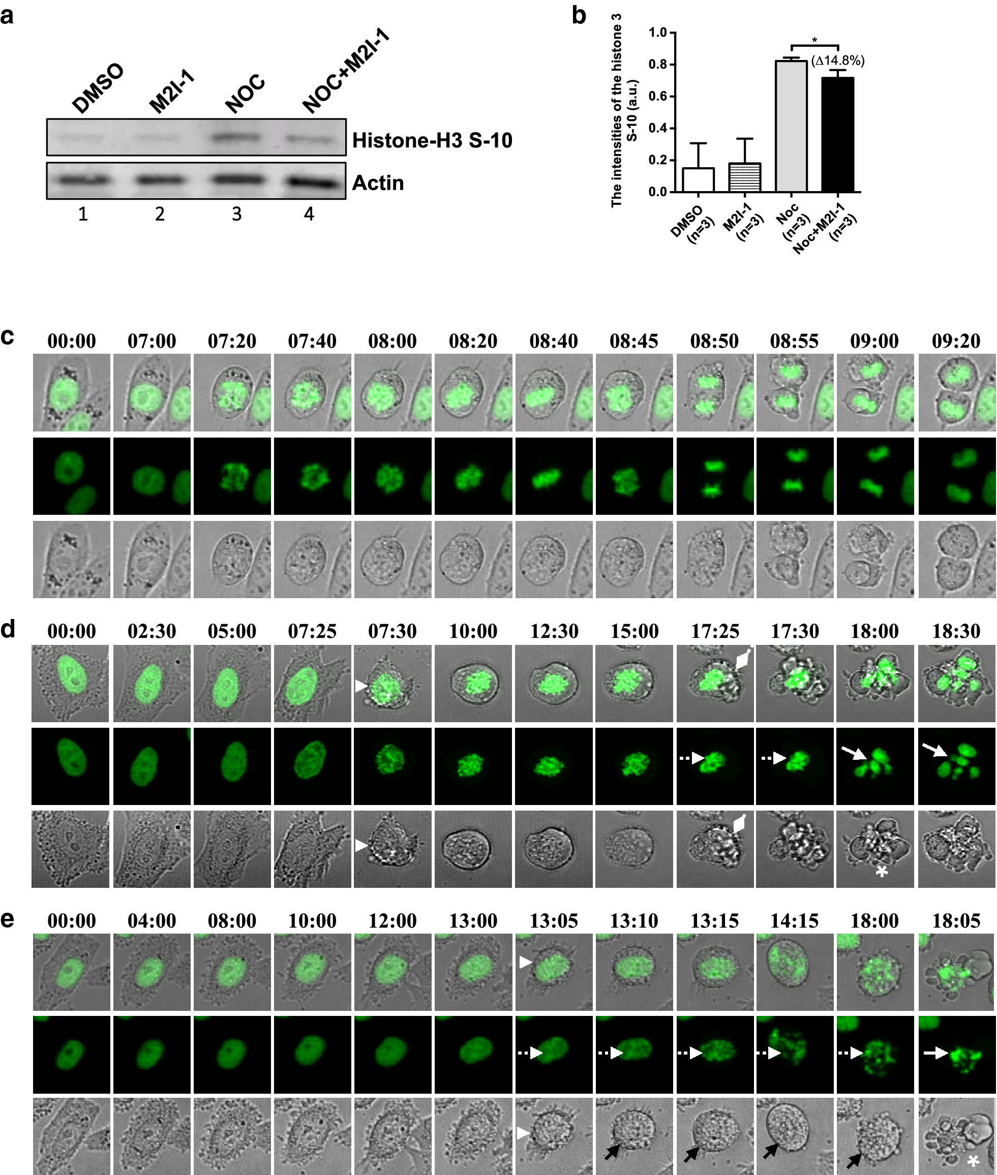 Fig. 2