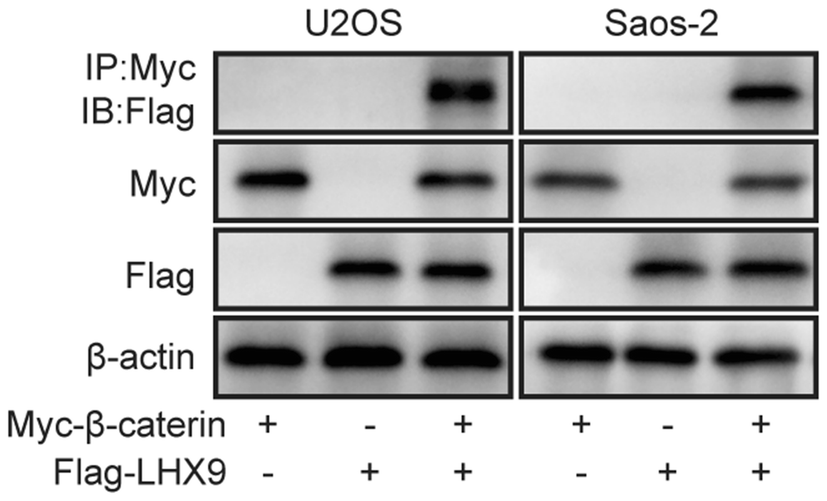 Fig. 9