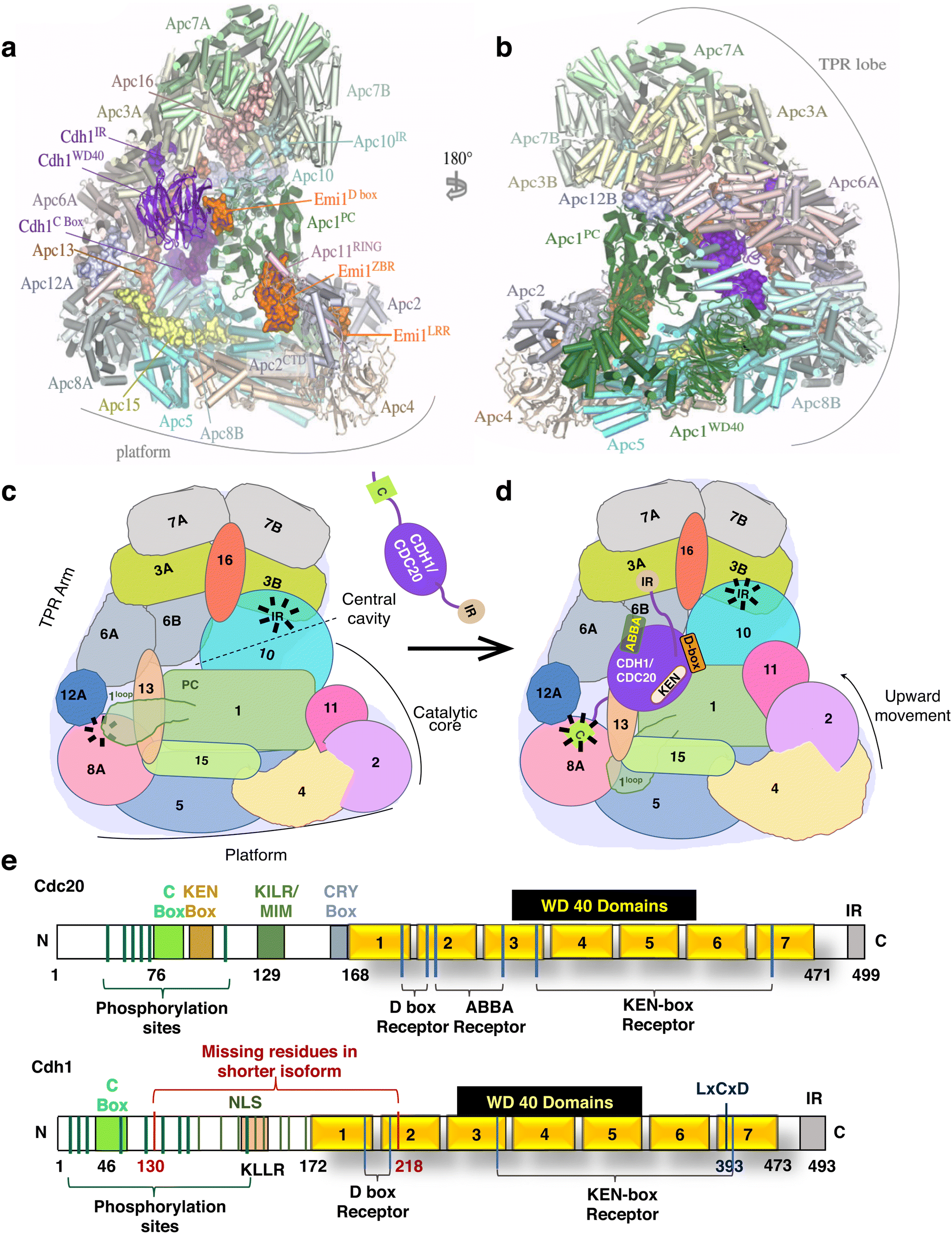 Fig. 1