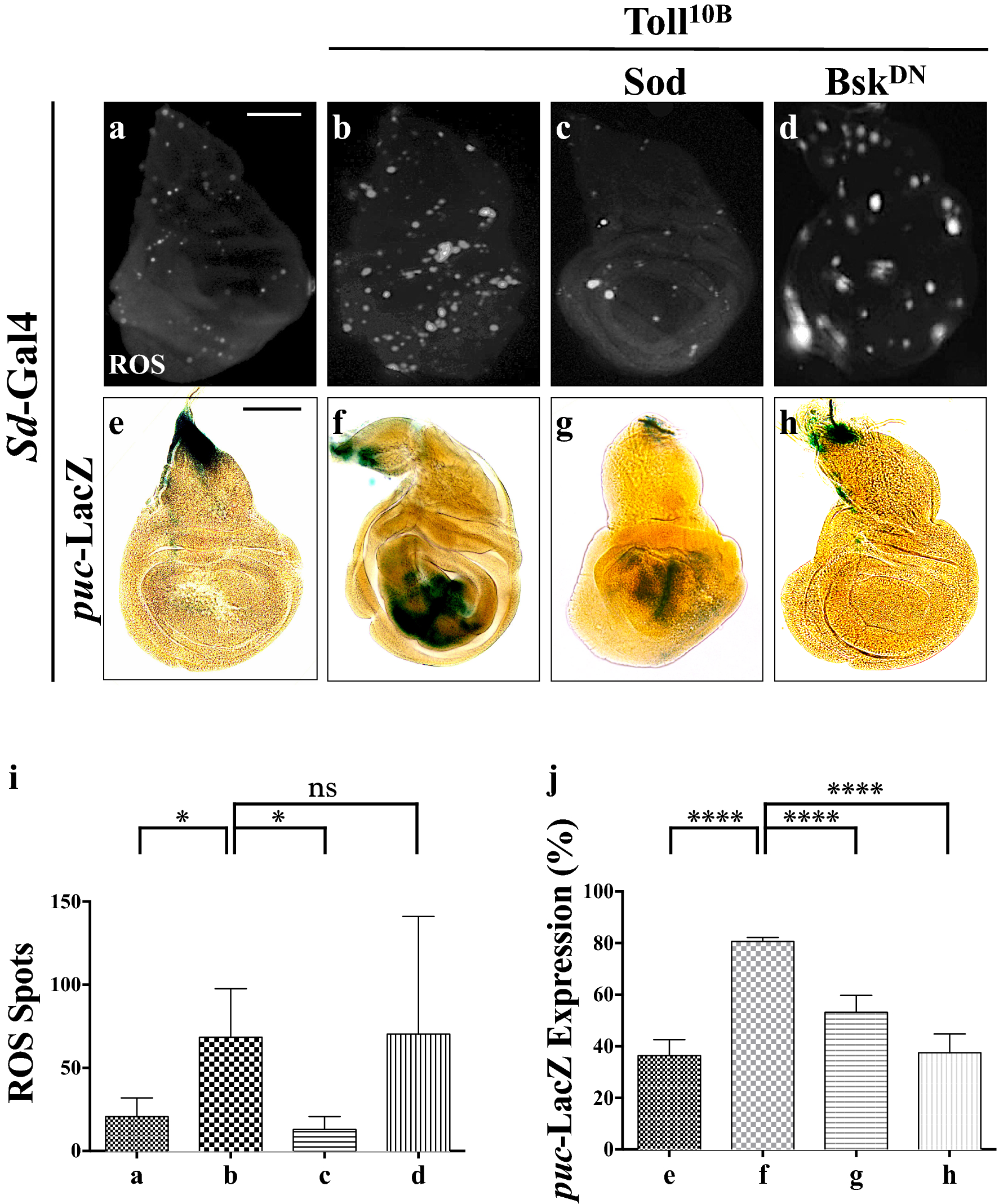 Fig. 6