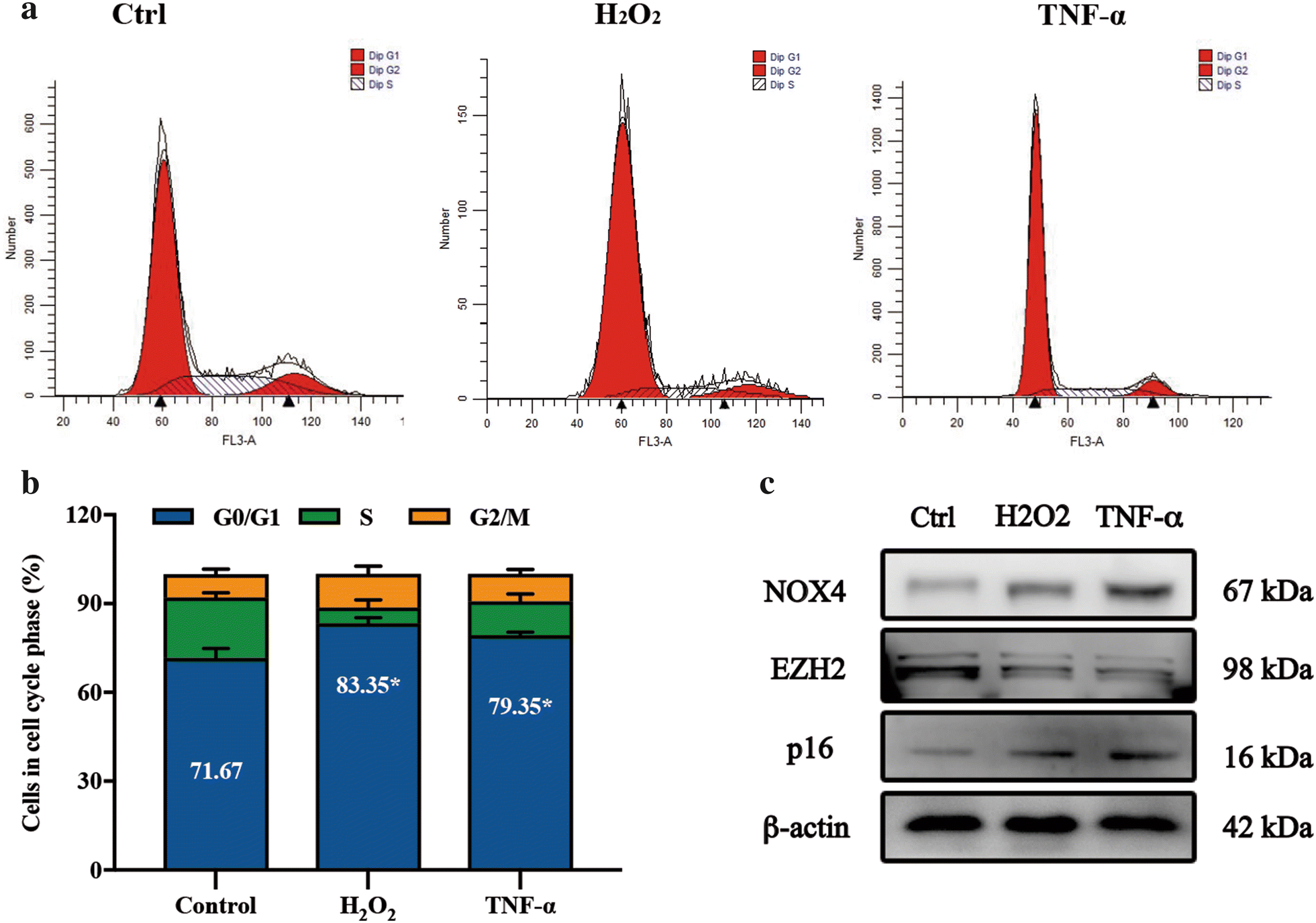 Fig. 3