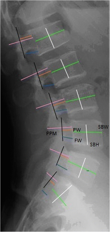 Fig. 5