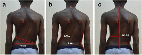 Fig. 33