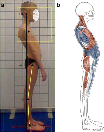 Fig. 10