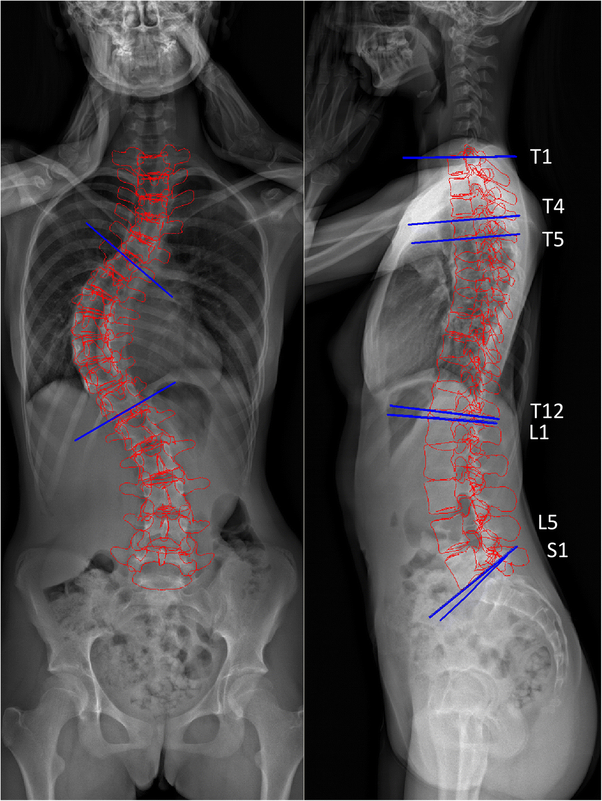 Fig. 2