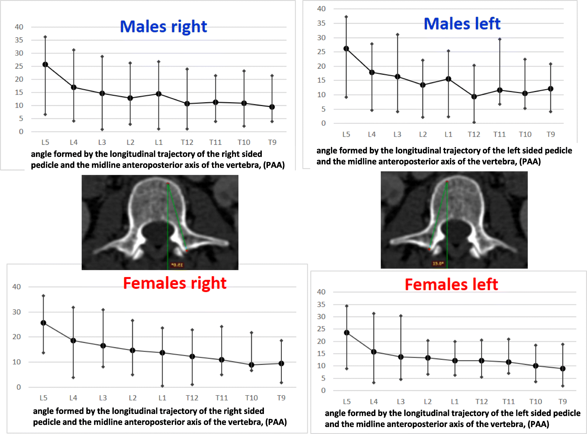 Fig. 12