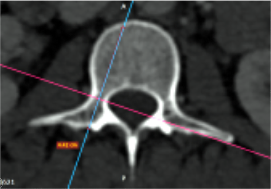 Fig. 5