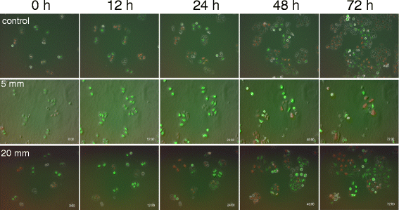 Fig. 3