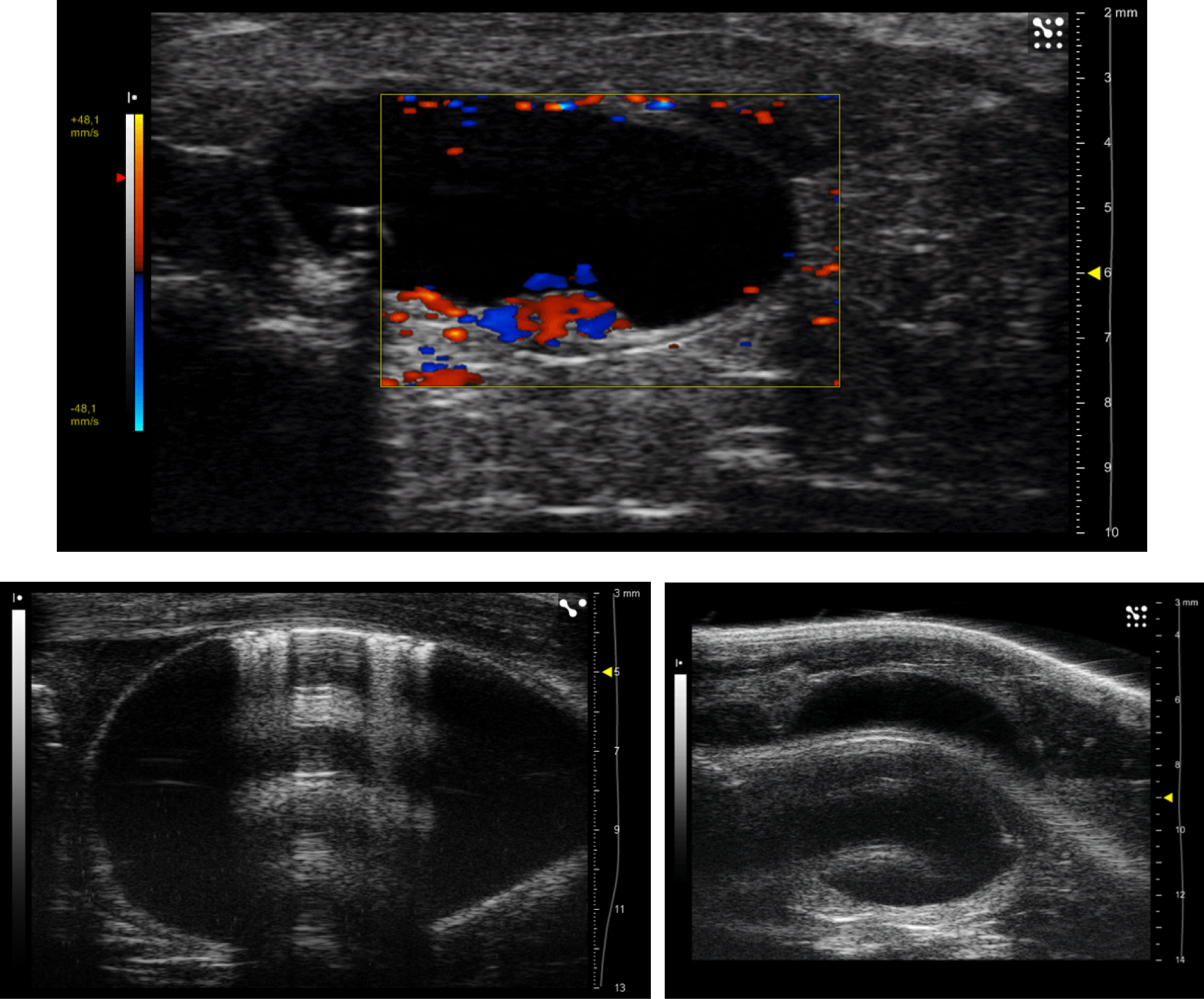 Fig. 5