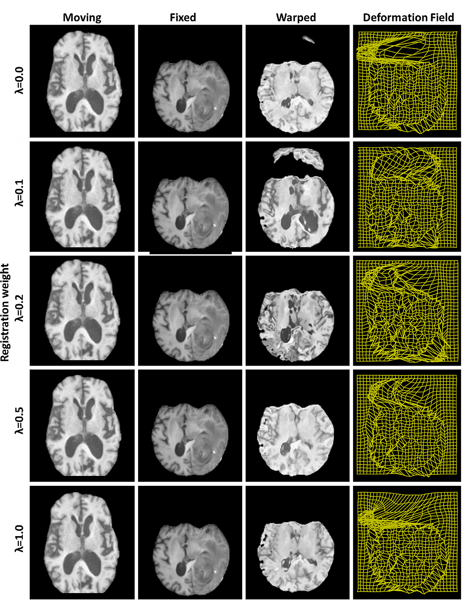 Fig. 5