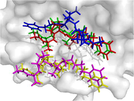 Figure 5