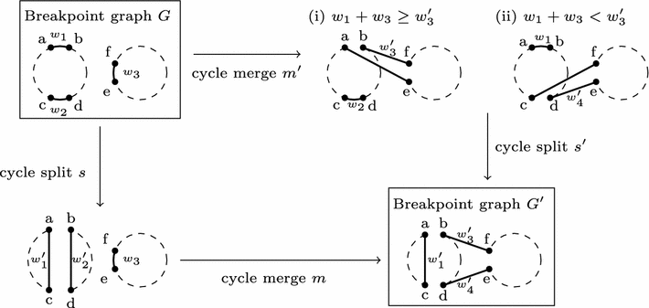 Fig. 1