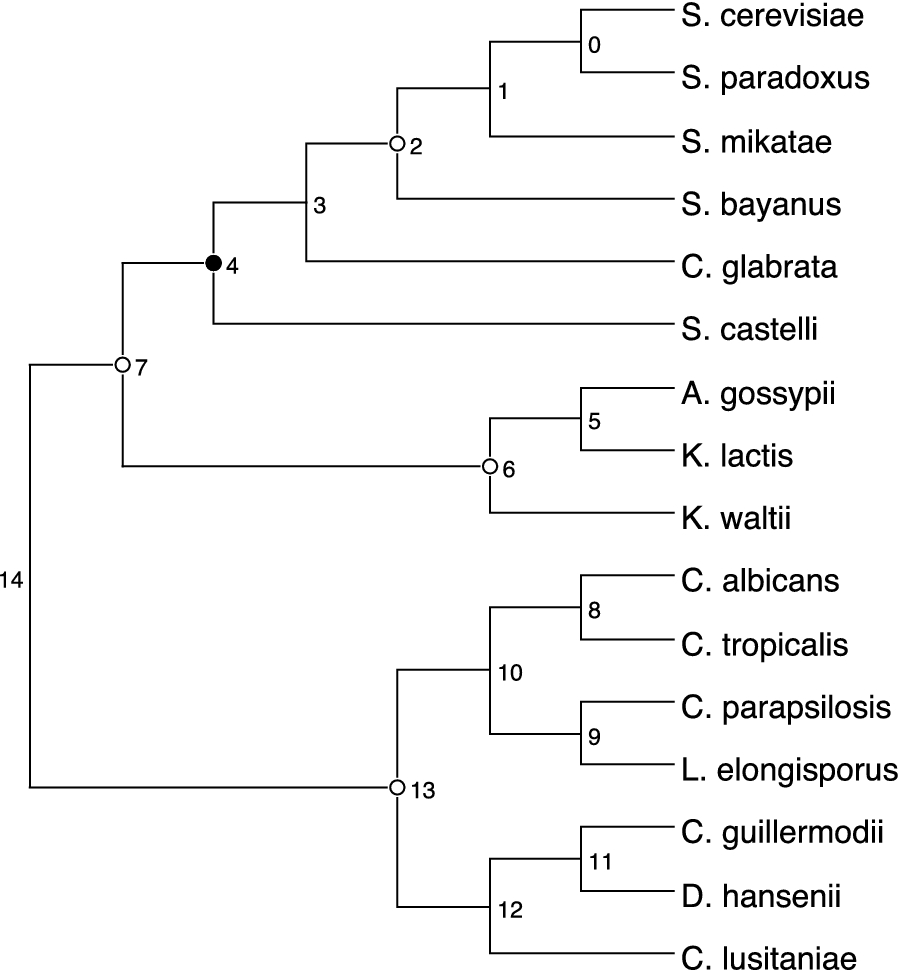 Fig. 7