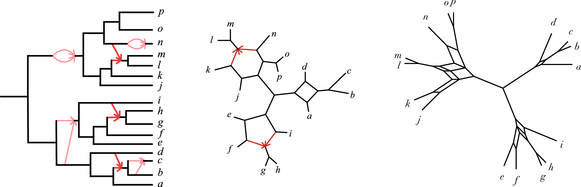 Fig. 9