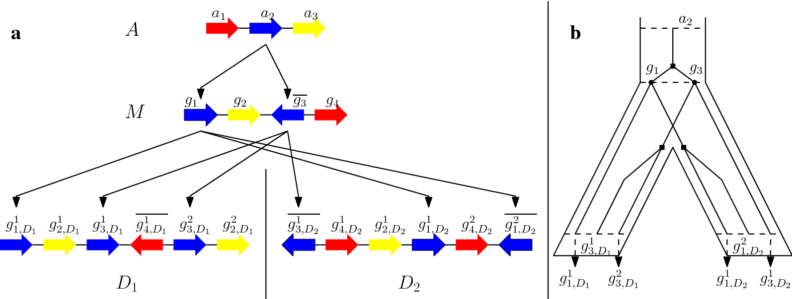 Fig. 1