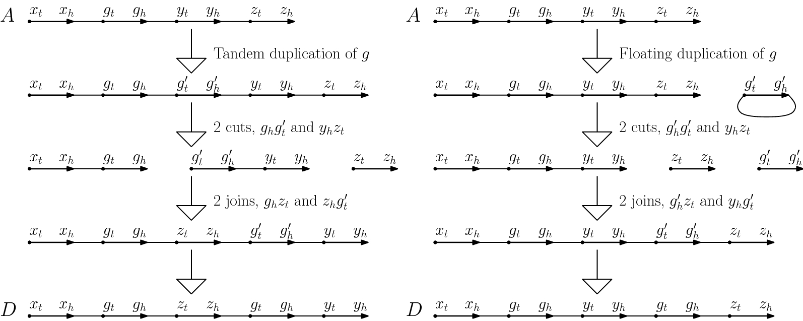 Fig. 2