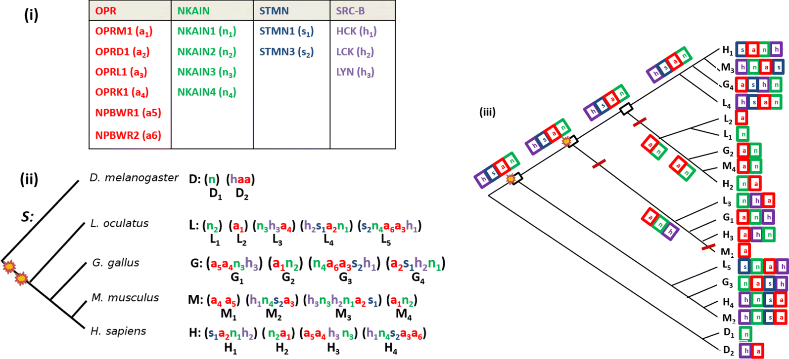 Fig. 3