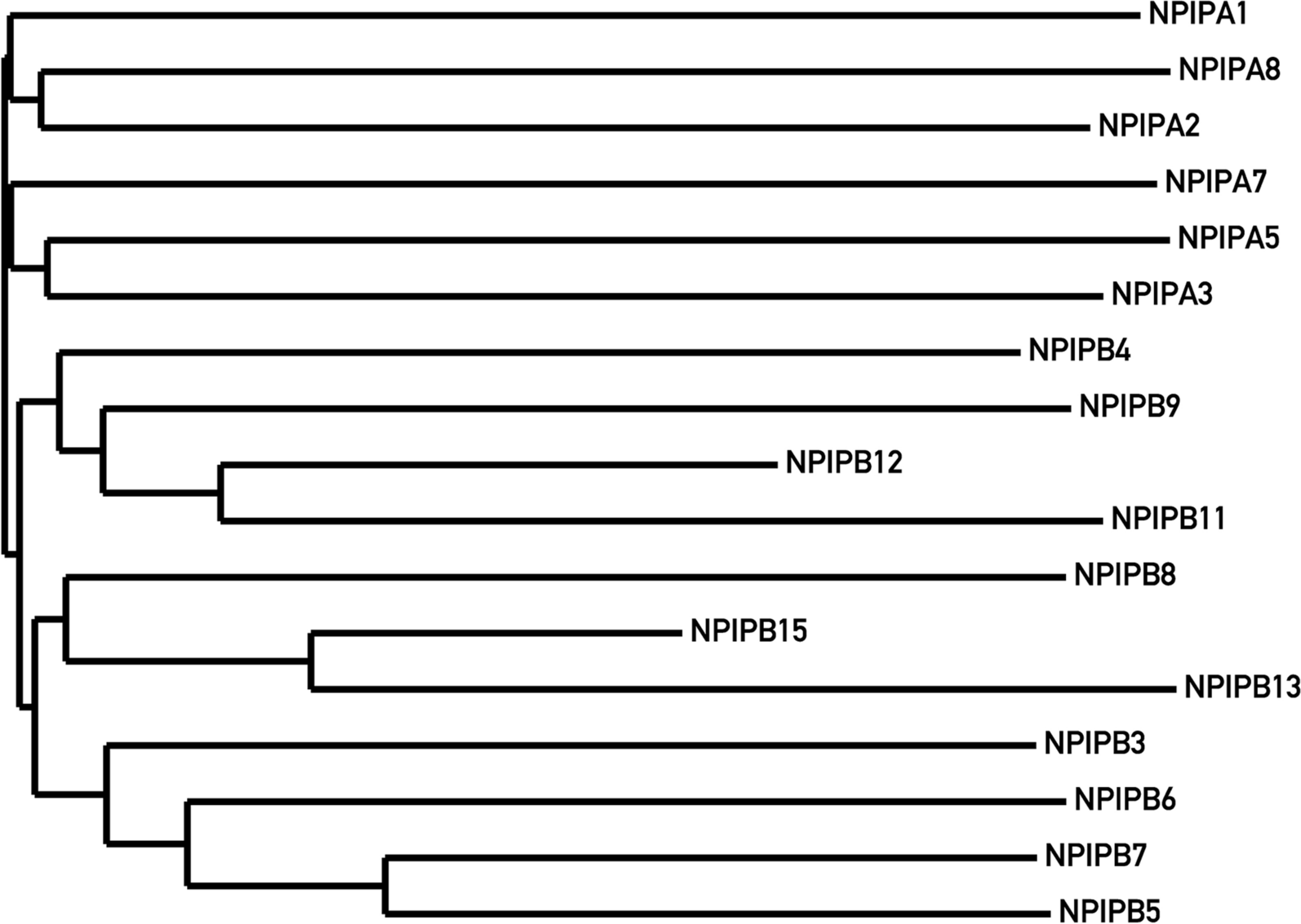 Fig. 6