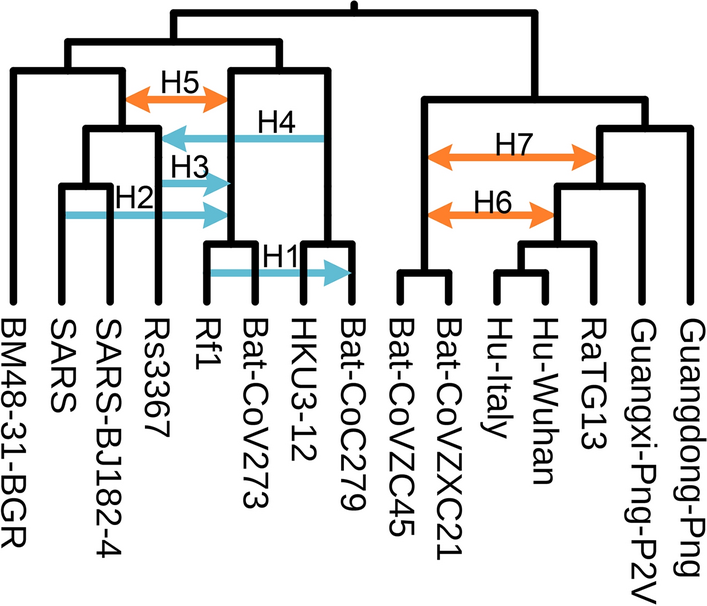 Fig. 13