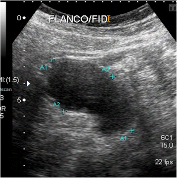 Fig. 7