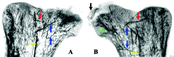 Fig. 9