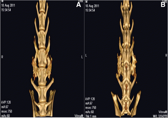 Fig. 5